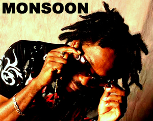 monsoon color edit NAME copy