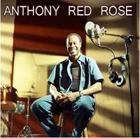 anthony red rose cc